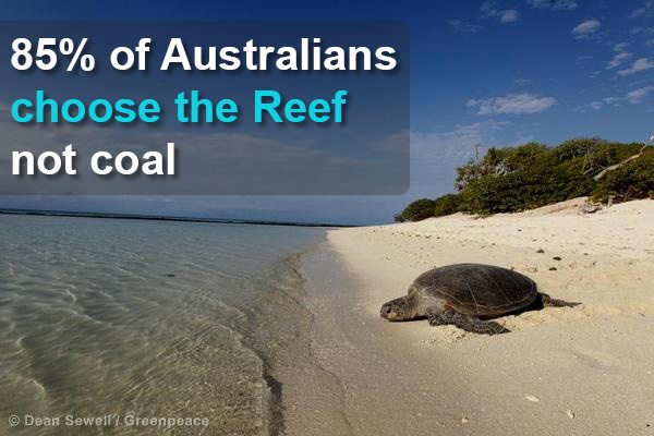 Green Turtle on Heron Island