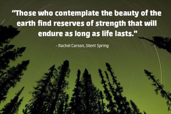 Inspiring quote. "Those who contemplate the beauty of the earth find reserves of strength that will endure as long as life lasts." - Rachel Carson, Silent Spring