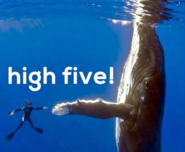 high five