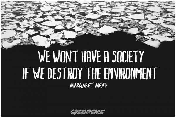 Inspiring quote. We wont have a society if we destroy the environment - Margaret Mead