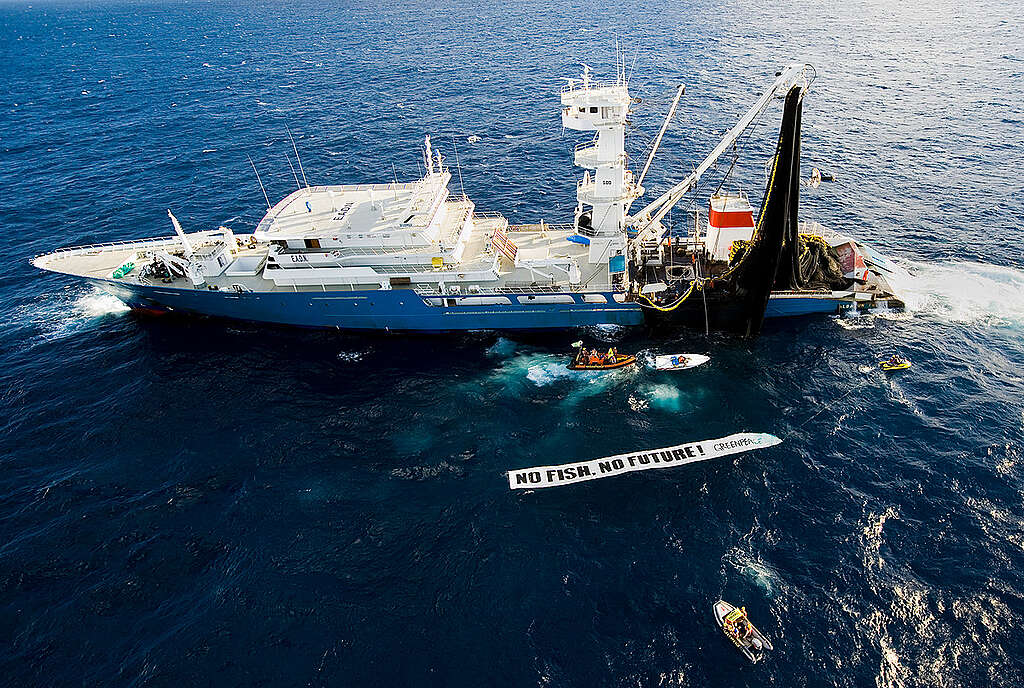 Action against the Biggest Tuna Fishing Vessel in the Pacific. © Greenpeace / Paul Hilton