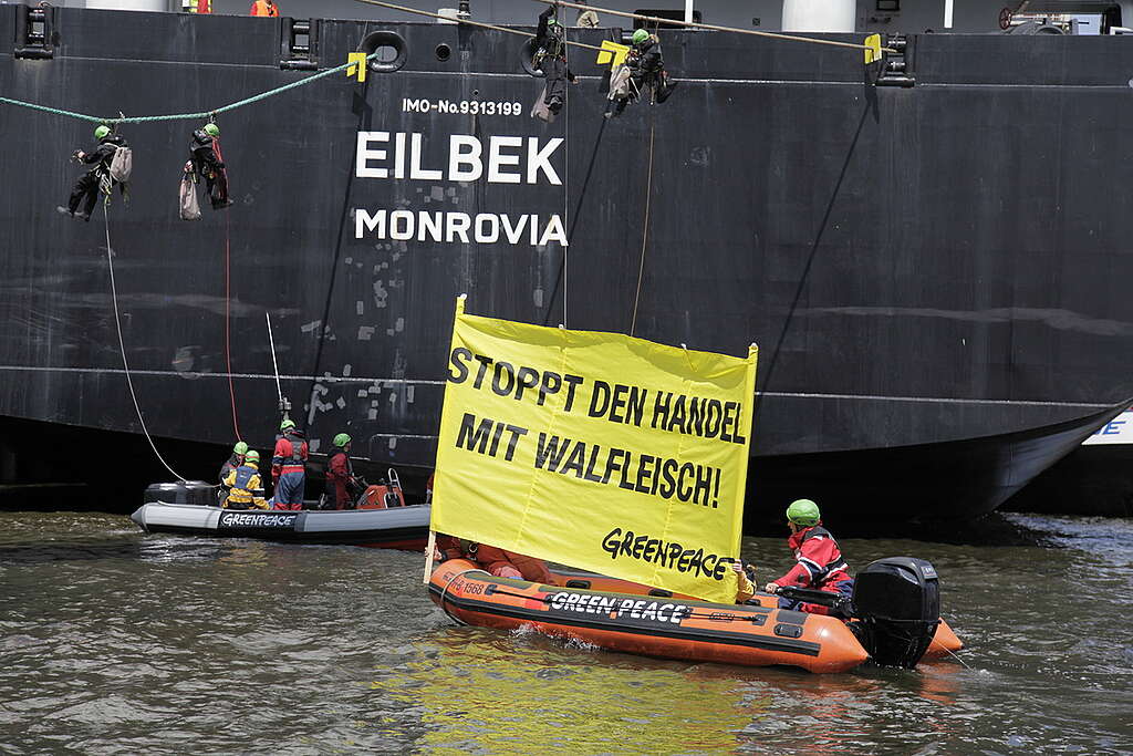 Action against Whale Meat in Hamburg. © Daniel Müller / Greenpeace