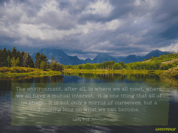 Inspiring quote. "The environment, after all, is where we all meet, where we all have a mutual interest. It is one thing that all of us share. It is not only a mirror of ourselves, but a focusing lens on what we can become." - Lady Bird Johnson