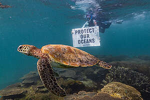 Global Oceans Treaty