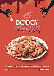 REPORT: Dodgy Prawns