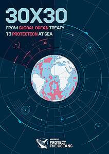 REPORT: 30×30 From Global Ocean Treaty to Protection at Sea