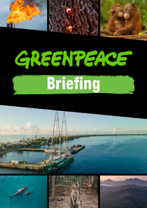 BRIEFING: Woodside Investor Briefing