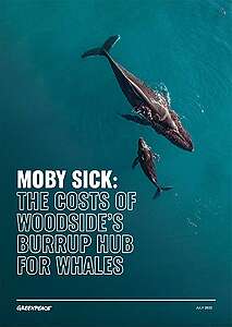 REPORT: Moby Sick: The Costs of Woodside’s Burrup Hub for Whales