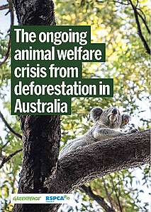 Report: The ongoing animal welfare crisis from deforestation in Australia