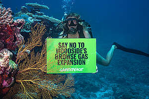 "Say No to Woodside.." sign underwater. Taken at Scott Reef, North Western Australia.