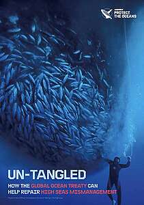 Report: How the Global Ocean Treaty can help repair high seas mismanagement