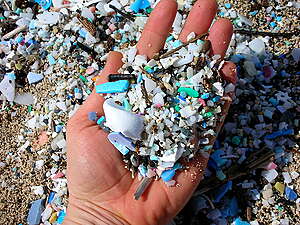 Close up of microplastics found on beach.