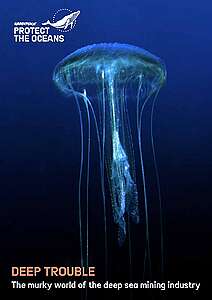 REPORT: Deep Trouble