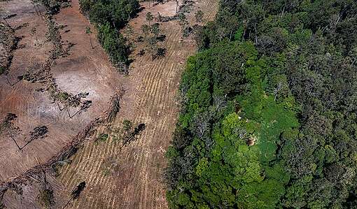 Active Deforestation for Beef in Wamuran, Queensland, Australia. © Paul Hilton / Greenpeace