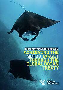REPORT: From Commitment to Action – Achieving the 30×30 target through the Global Ocean Treaty