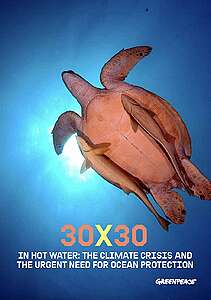 Report: In Hot Water – The Climate Crisis and the Urgent Need for Ocean Protection