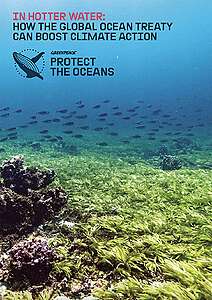 Report: In Hotter Water – How the Global Ocean Treaty can boost climate action