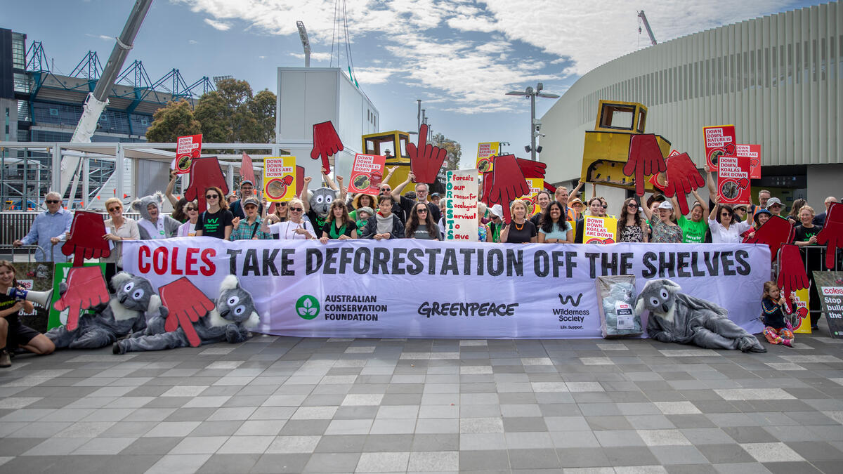 Protest Against Deforestation at Coles AGM in Melbourne. © Greenpeace / Toby Davidson