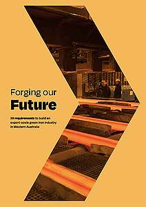REPORT: Forging our Future