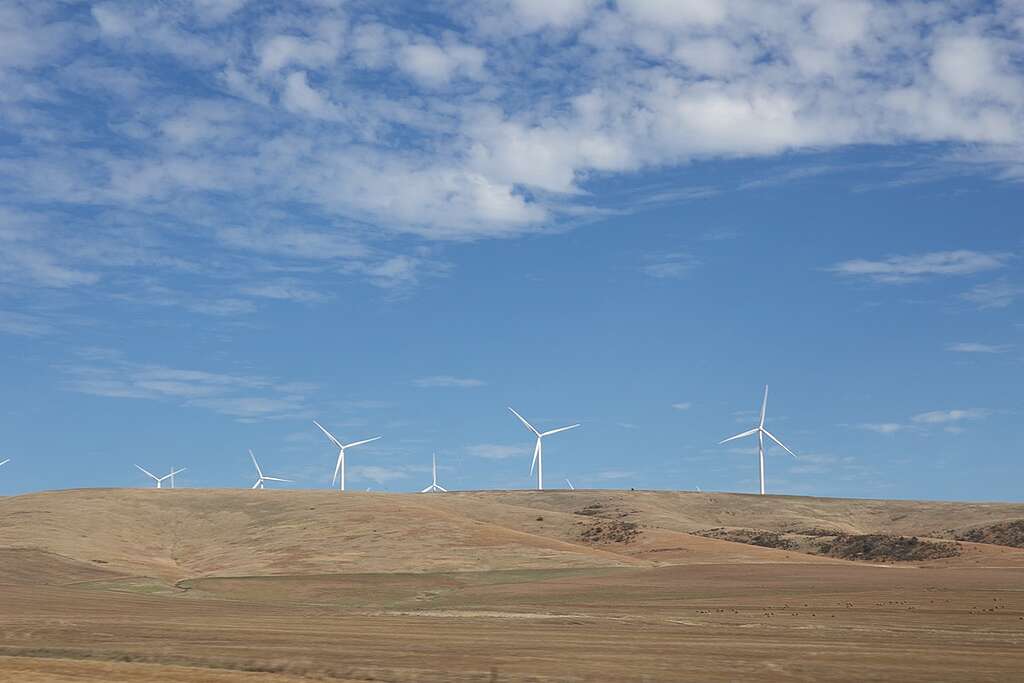Wind Turbines along the Princes Highway near Port Augusta. © Ella Colley / Greenpeace