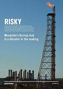 REPORT: Risky Business. Woodside’s Burrup Hub is a disaster in the making.
