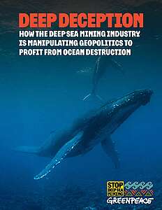 REPORT: Deep Deception