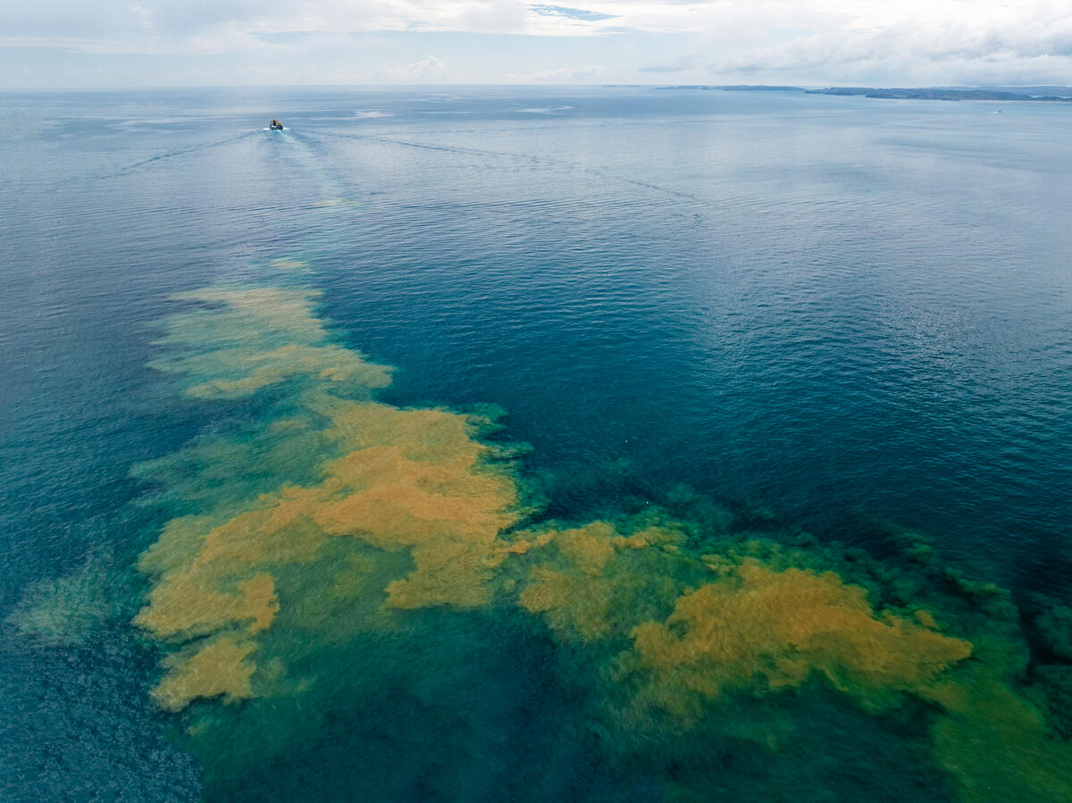 Dredging for Woodside's Burrup Hub in Australia. © Greenpeace / Alex Westover