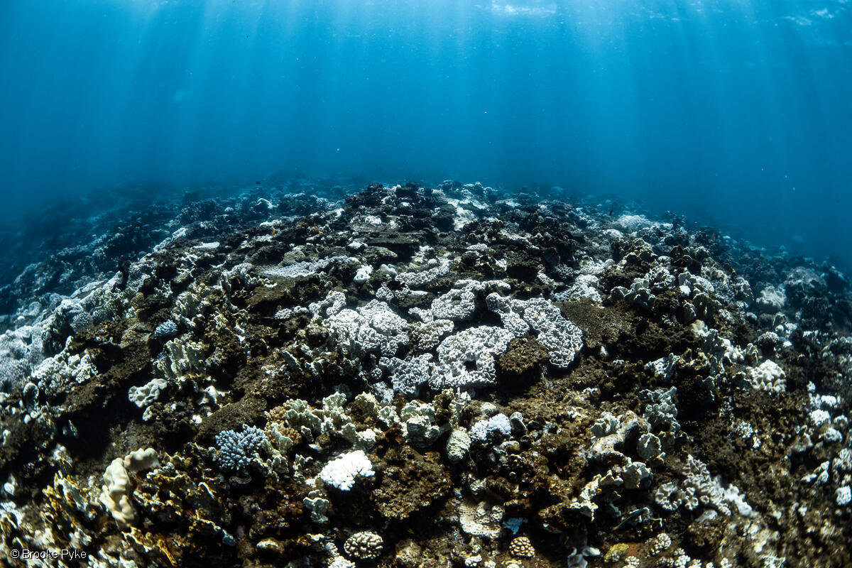 Gas is the problem, not the answer