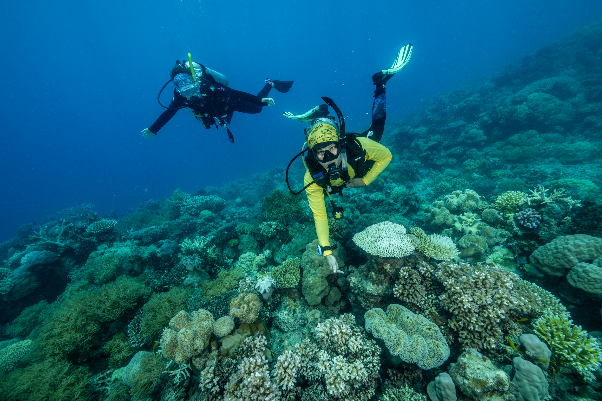 How Deforestation Harms the Great Barrier Reef