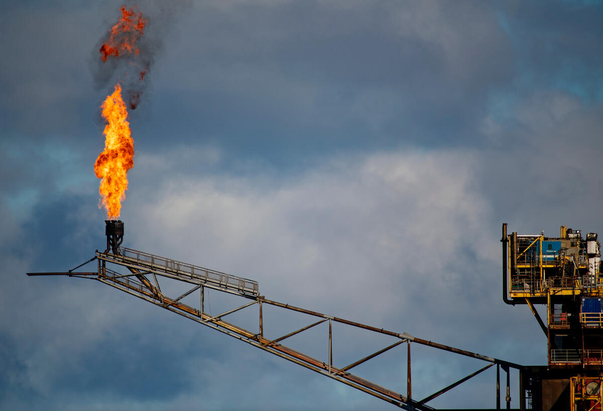 Email the CEOs of key companies in the BCA