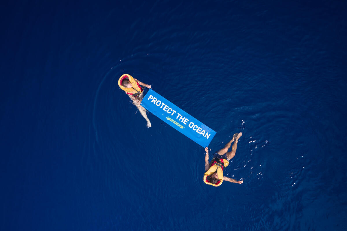 Seamounts Expedition in Tasman Sea. © Carl Naus / Greenpeace