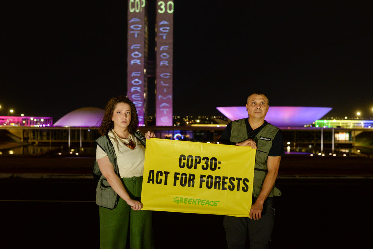 Pre COP30: Projection in the National Congress in Brasília. © Cristiane Silva / Greenpeace