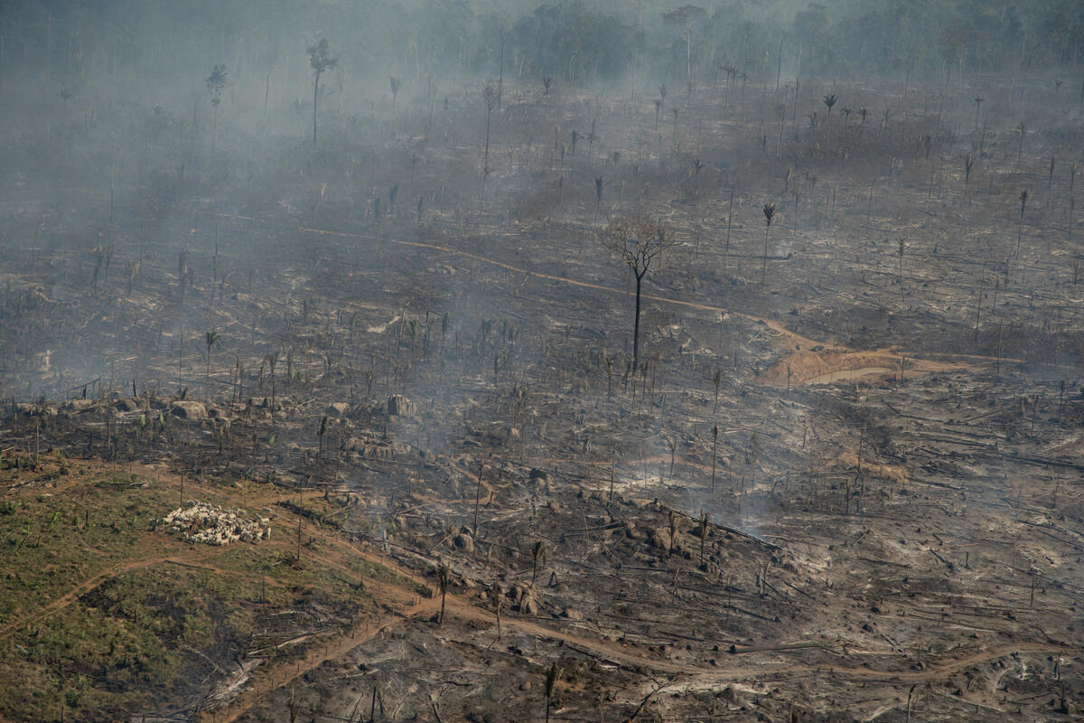 Fire Monitoring in the Amazon. © Christian Braga / Greenpeace
