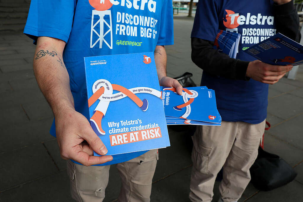 Activists Stage Protest at Telstra AGM in Melbourne, Australia. © Greenpeace Activists Stage Protest at Telstra AGM in Melbourne, Australia. © Greenpeace