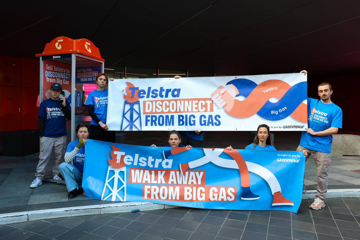 Activists Stage Protest at Telstra AGM in Melbourne, Australia. © Greenpeace