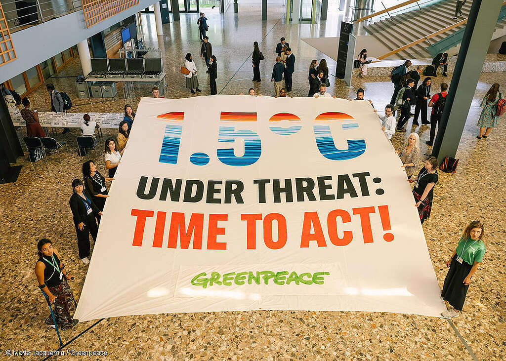 All eyes on Brazil: What to expect at COP30 – Greenpeace Australia Pacific