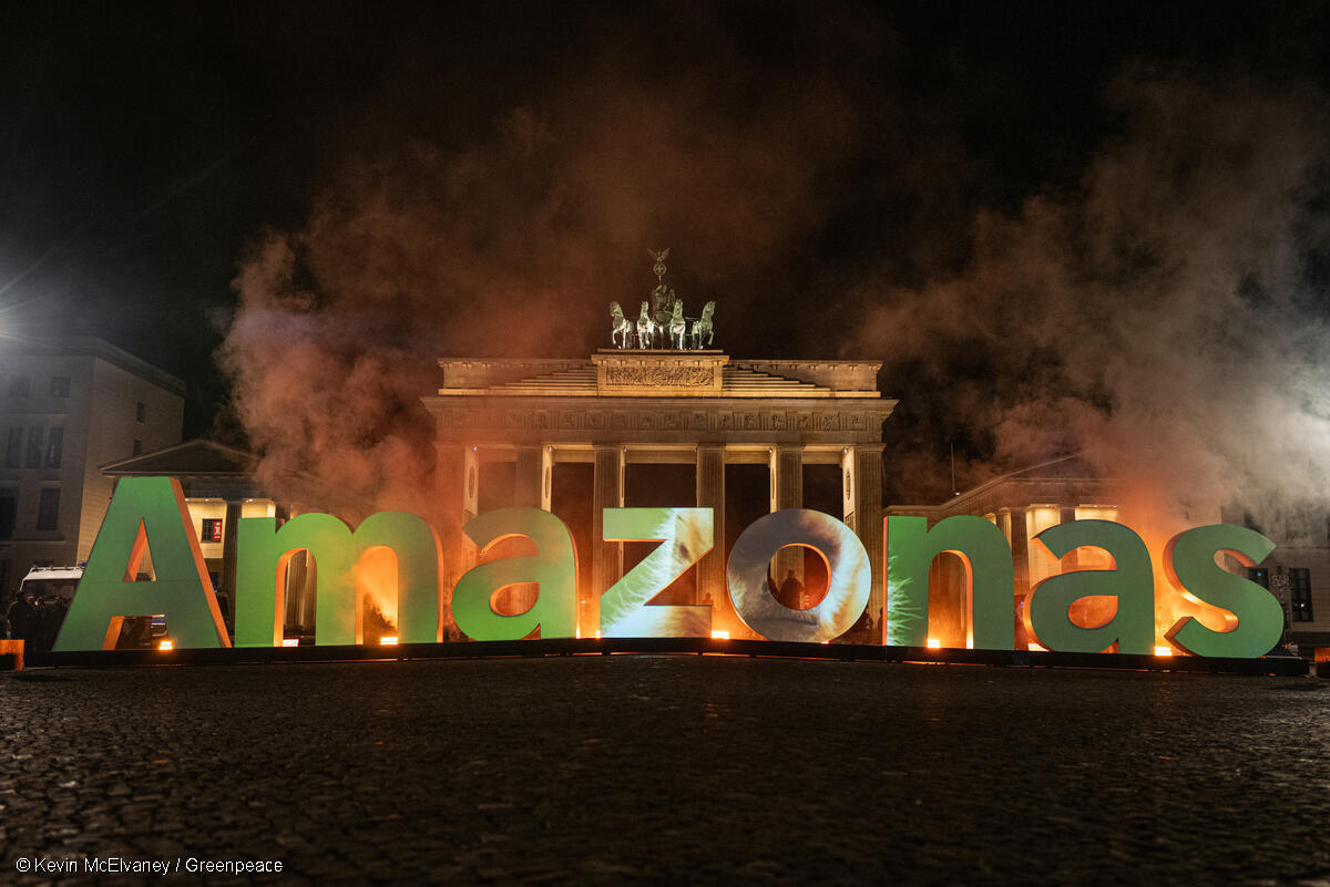 All eyes on Brazil: What to expect at COP30