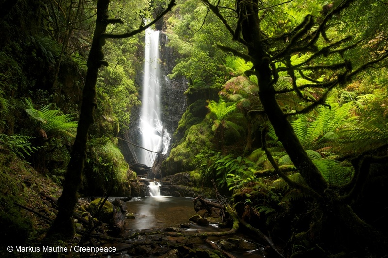 Lush green rainforest with a waterfall in the centre