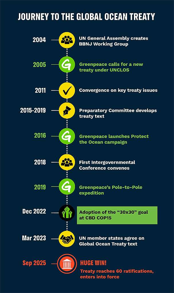 A timeline of the Global Ocean Treaty