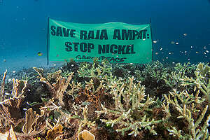 Underwater Photo Opp in Manyaifun Village, Raja Ampat. &copy; Nita / Greenpeace