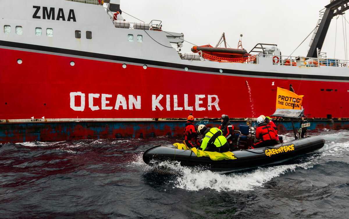 Bottom Trawling in New Zealand. © Paul Hilton / Greenpeace