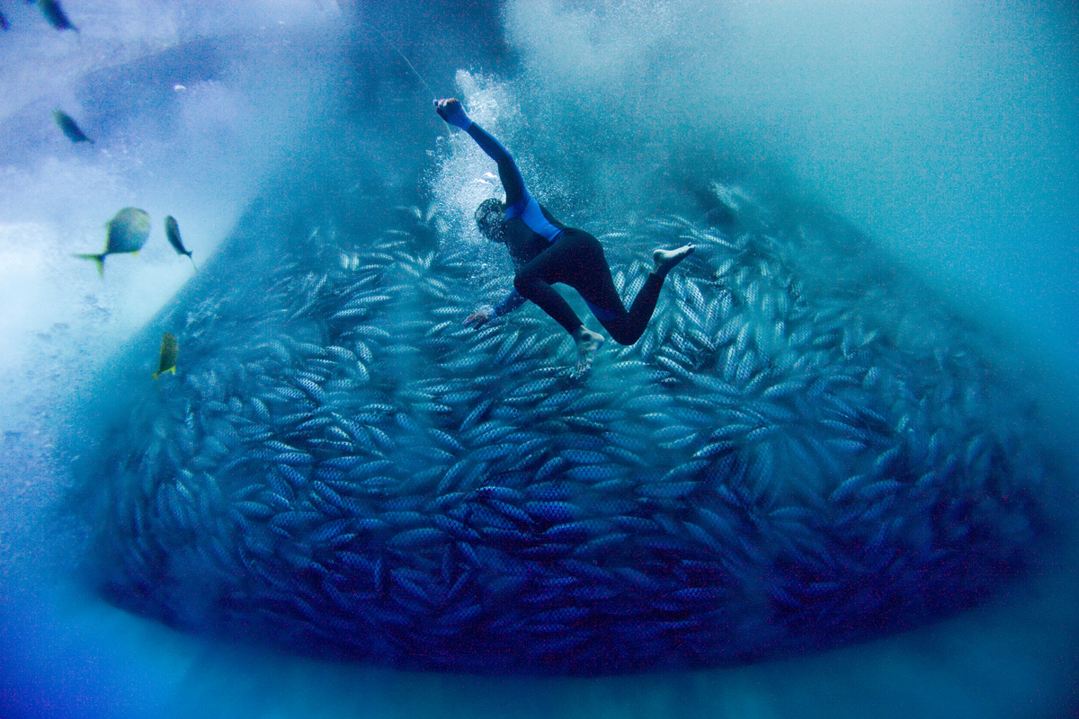 Philippine Purse Seine Fishing Operation. © Alex Hofford / Greenpeace