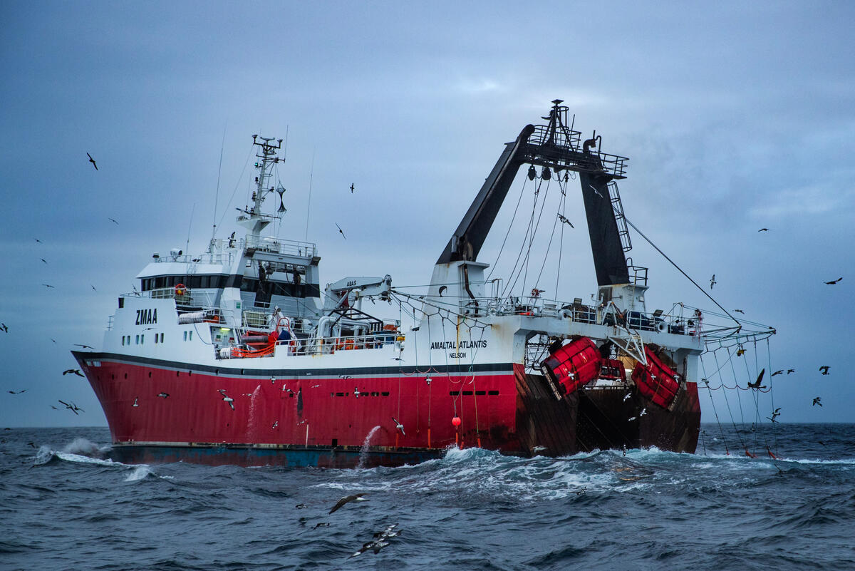 Bottom Trawling in New Zealand. © Paul Hilton / Greenpeace