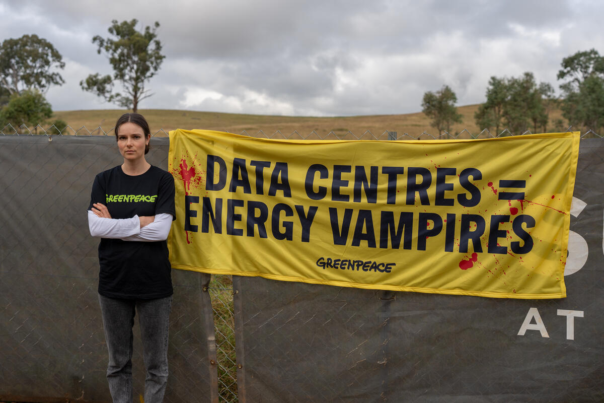 &lsquo;Energy Vampires&rsquo;: Greenpeace calls for moratorium on data centres as new report reveals frenzied rollout would derail energy transition